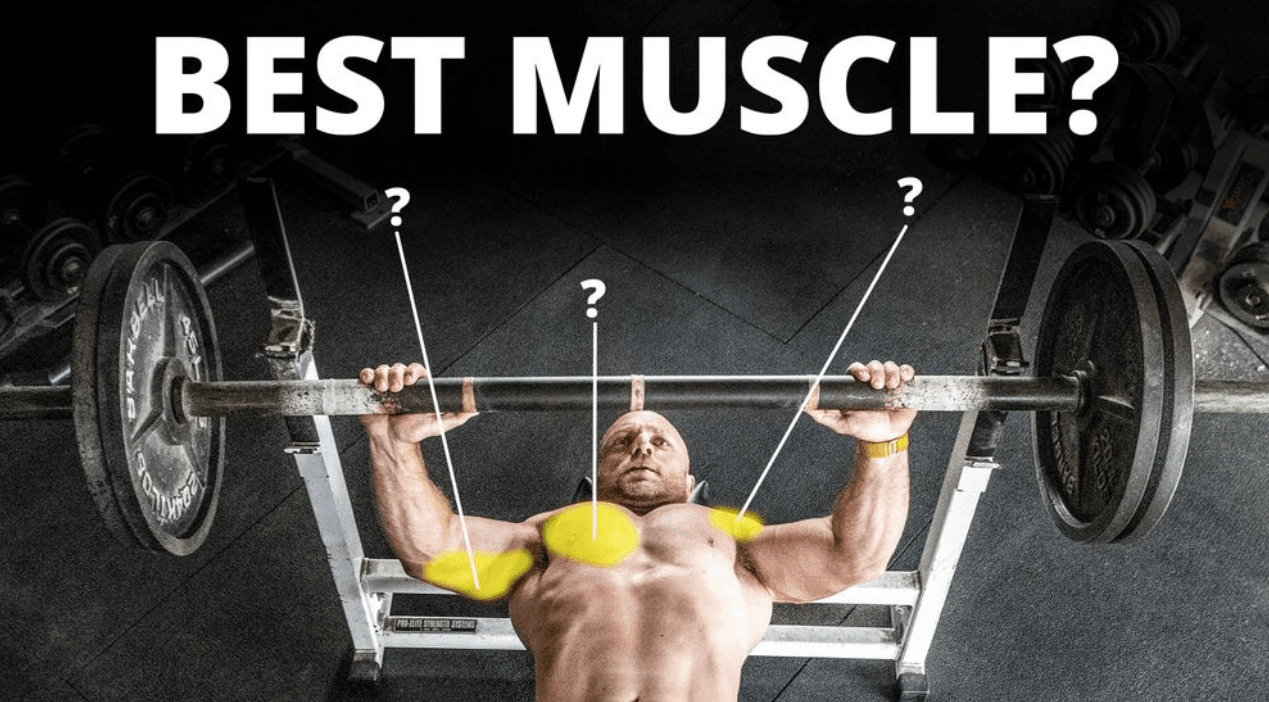 hypertrophy exercise 