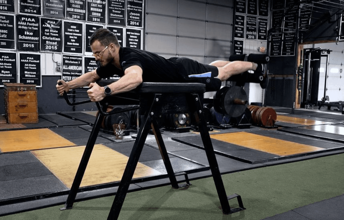 reverse hyper exercise