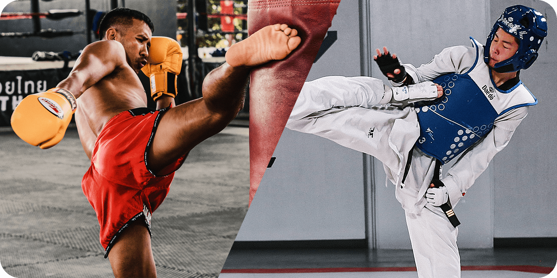 muay thai and taekwondo programs 